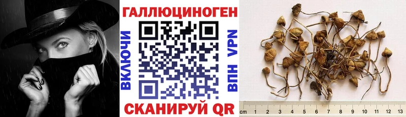 Галлюциногенные грибы прущие грибы  Озёрск 